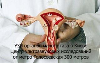 УЗИ органов малого таза в Голосеевском р-не г. Киева в Центре ультразвуковой диагностики